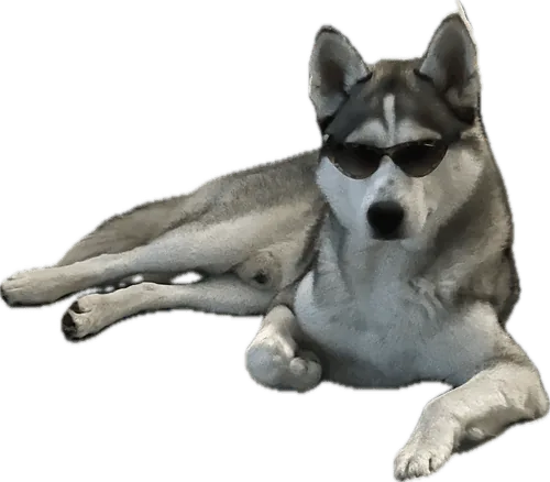 Silver der Husky, Maskottchen