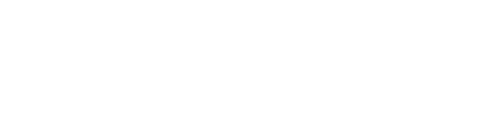 Logo de Driesen verhuizingen