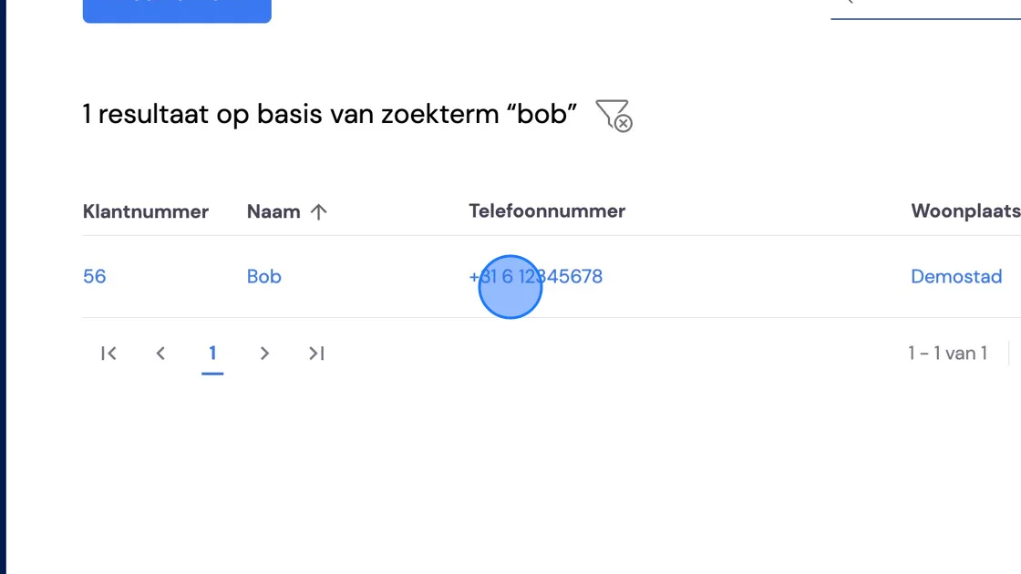 Screenshot of: Search for your business customer.